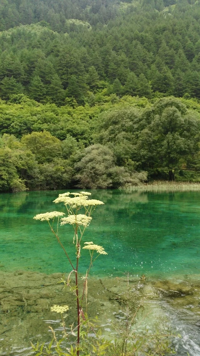 四川九寨沟